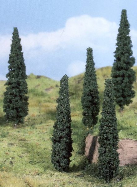 Heki x 5 Cypress Trees 14-14cms 1191