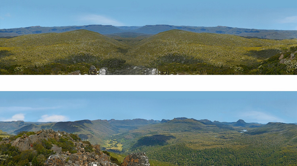 IDBackscenes Australian Forest and Hills 279A - Standard